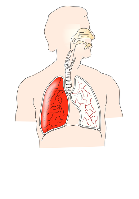 Best Lung Specialist Doctor in Mumbai